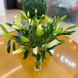 10 White Lilies in Glass Vase