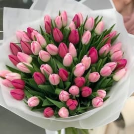 Close-up of a beautiful bouquet of light pink and dark pink tulips with green leaves on a white background.