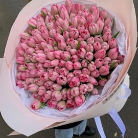 150 pink tulips in a bouquet representing emotions of affection, hope, gratitude, and love. A beautiful gift from our garden of love to cherish your loved ones