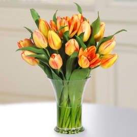 Image of a vase with a stunning arrangement of 20 double color tulips in radiant shades of yellow and orange.