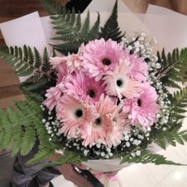 Close-up of light pink Gerbera daisies in the bouquet