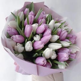 45 White & Purple Tulips Bouquet