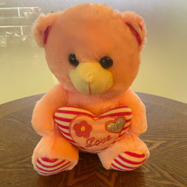 Blush Love Teddy
