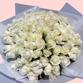 Purity of 100 White Roses