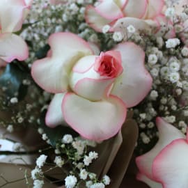 A floral arrangement in a round pink box with a ribbon, showcasing light pink and white roses mixed with baby's breath.