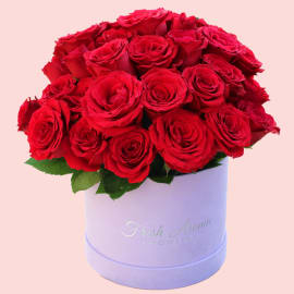 Velvet Rose Elegance