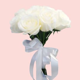 Classic White Roses