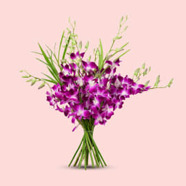 Orchid Opulence Bouquet