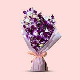 Majestic Orchid Melody