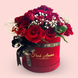 Ruby Velvet Roses