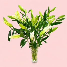 10 White Lilies in Glass Vase