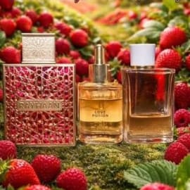 rayhaan-love-potion-fragrance-set