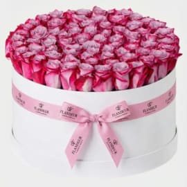 40 Purple Roses Flower Box