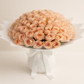 50 beach rose