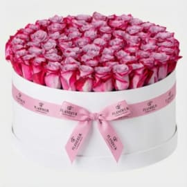 50 Pink Roses Flower Box