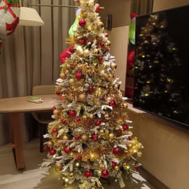 Decorated Christmas Tree