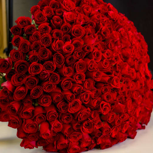 Luxuriant 300 Roses Bouquet