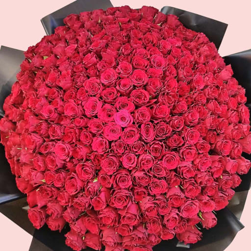 Royal Bouquet of 300 Roses