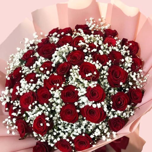 Enchanting Scarlet Rose Symphony