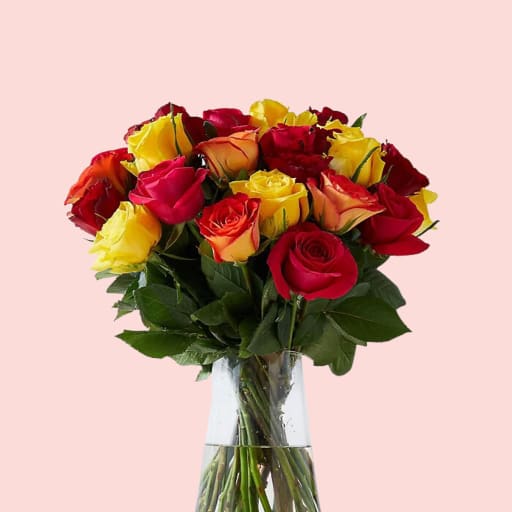 Dazzling 20 Roses in Vase