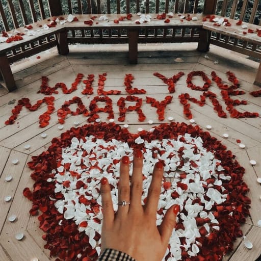 Romantic Proposal Setup 