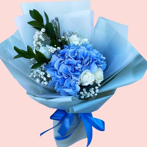 Hydrangea Rose Bliss