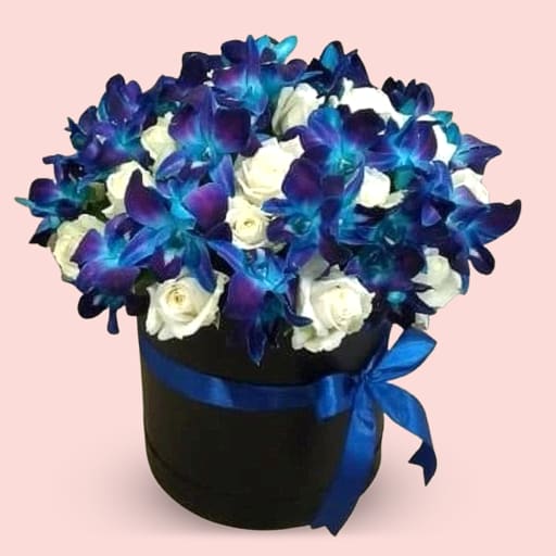 Azure Rose Elegance
