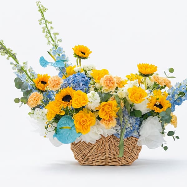 Shine Basket