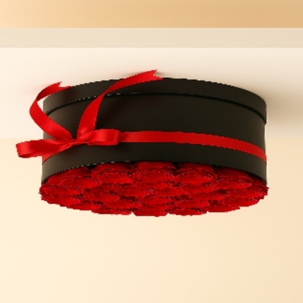 Love 60 red rose box