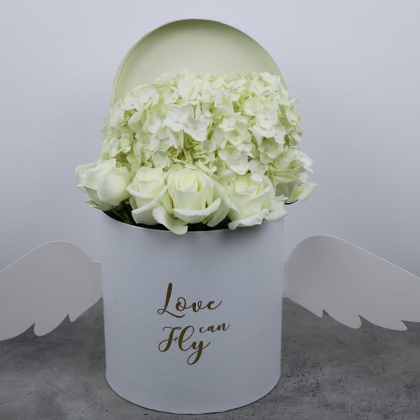 Love Can Fly White Box