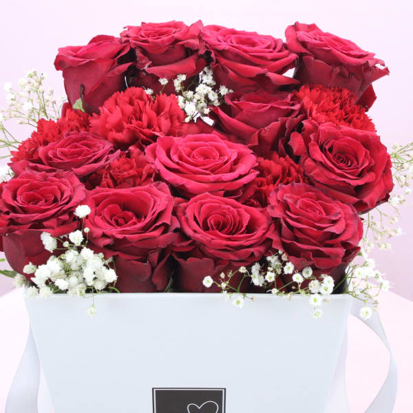 Red Roses with red Hydrangea , white Baby's breath in white bucket 