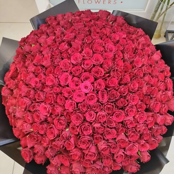Bouquet of 300 Fresh Red Roses