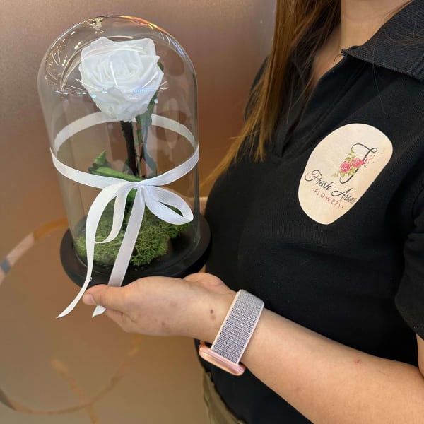 White preserved rose in glass dome, a symbol of everlasting love