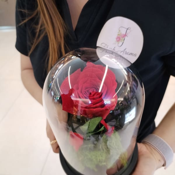 female standing holding everlasting red rose in glass dome. 