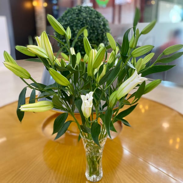 White Lillies vase