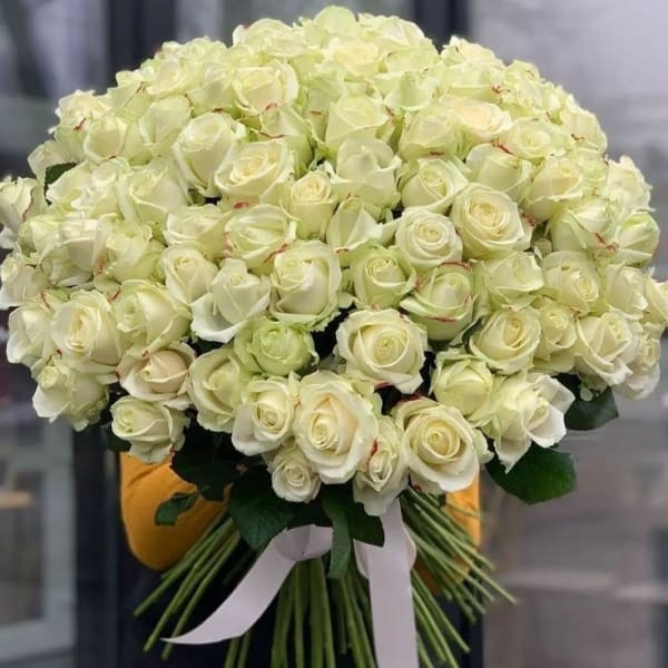 bundle of white roses