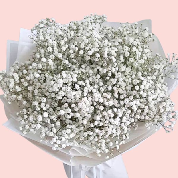 image of babybreath