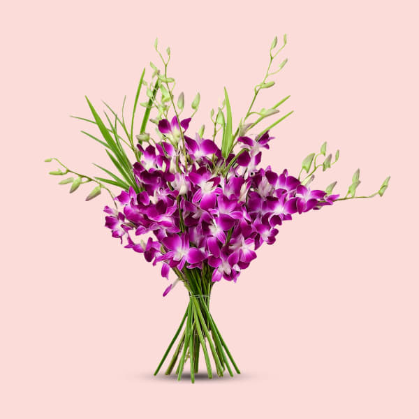 A hand-tied bouquet of 10 stems of purple Dendrobium orchids with green leaves against a soft pink background.