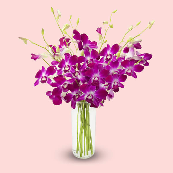 A glass vase filled with 10 stems of vibrant purple Dendrobium orchids against a soft pink background.