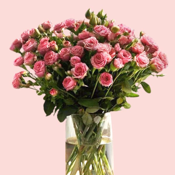 A bouquet of 20 pink spray roses with green foliage in a clear glass vase on a solid pink background.