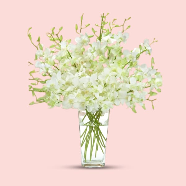 A tall, rectangular glass vase holds a full bouquet of 10 stems of white Dendrobium orchids with a light green center, set against a solid pastel pink background. The vase is filled with water, and th