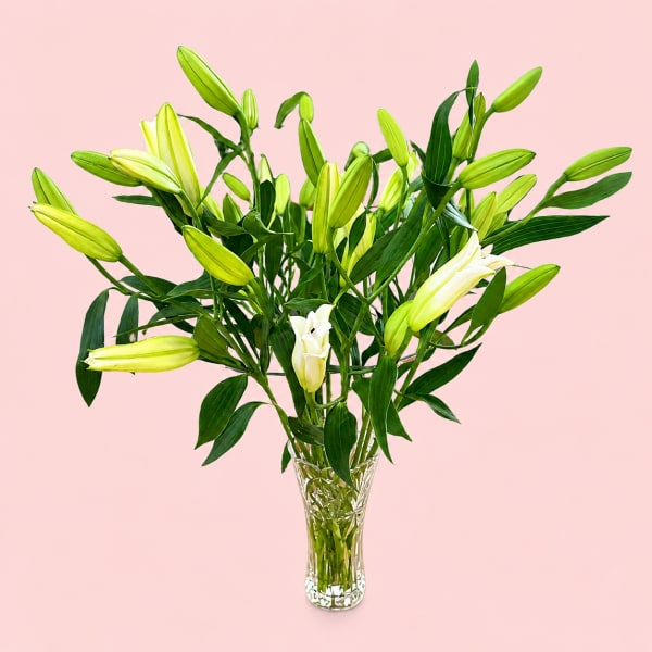 lilies