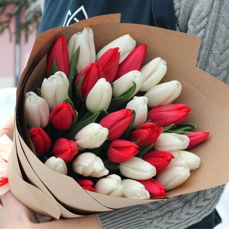 red and white tulip bouquet