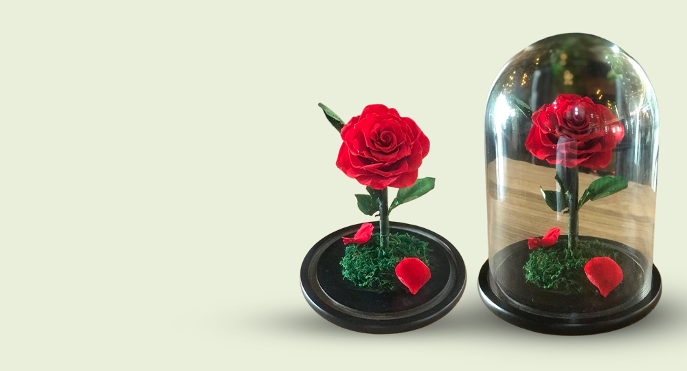 Forever Roses