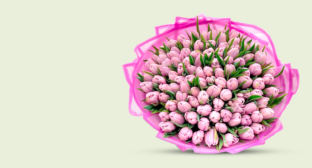 TULIPS