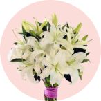 Lilies