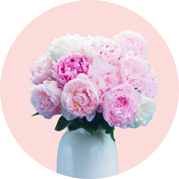 Peonies bouquets