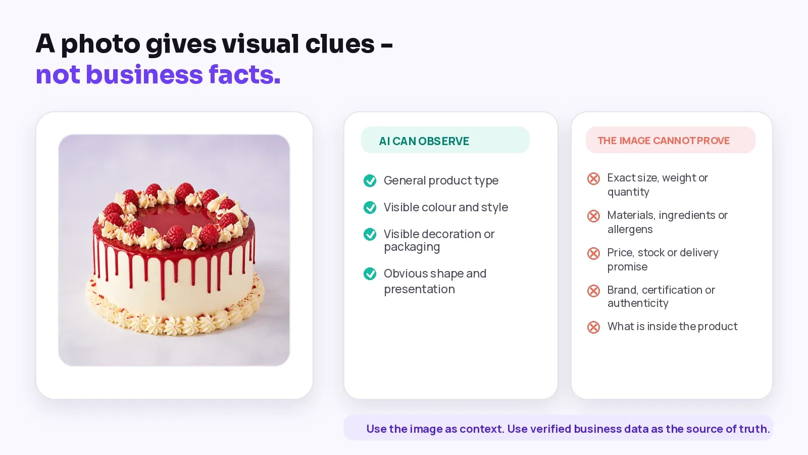 Product photo beside visual details AI can observe and business facts the image cannot prove.