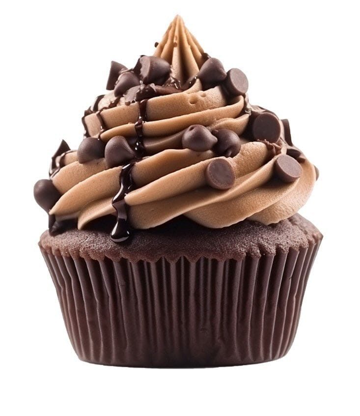 Chocolate cupcakes