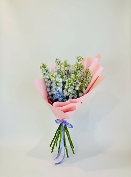 10 Delphinium blue Bouquet